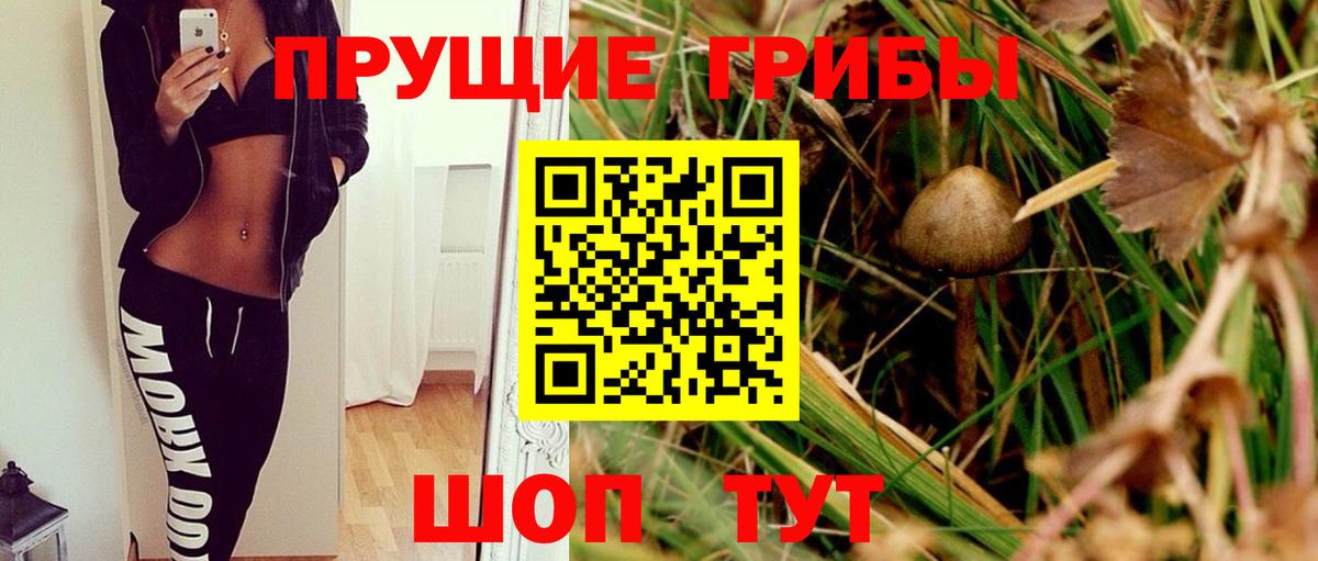 Галлюциногенные грибы мухоморы  Галлюциногенные грибы Cubensis  Лесосибирск  Вход с VPN 